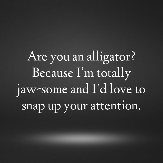 Alligators Pick Up Lines-GUoH2U