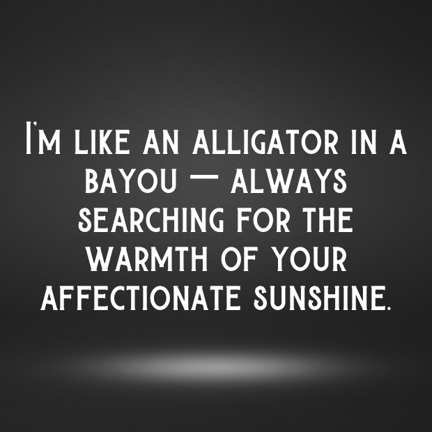 Alligators Pick Up Lines-Ruy3M5