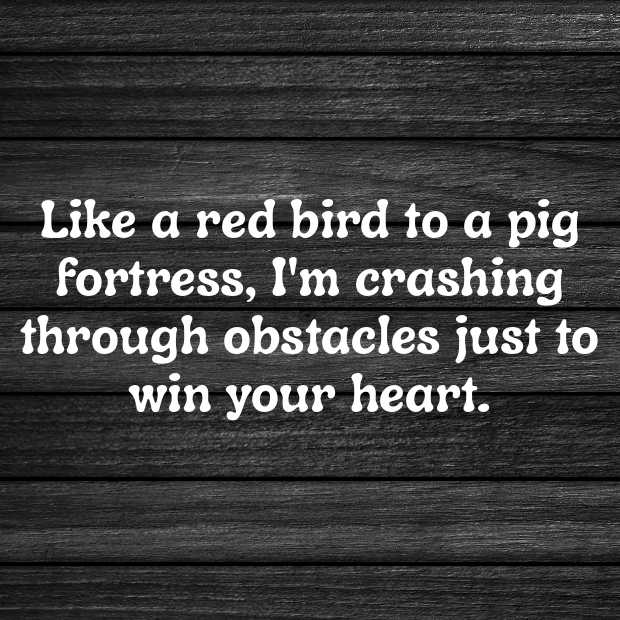 Angry Birds Pick Up Lines-SyUuTs