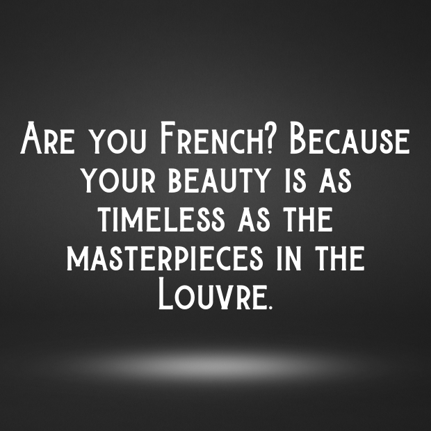 Are You French Pick Up Lines-XNGdbs