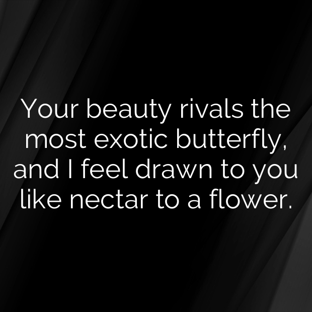 Butterfly Pick Up Lines-zj7aaa