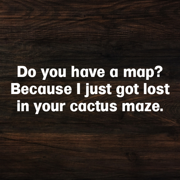 Cactus Pick Up Lines-eVhRb7