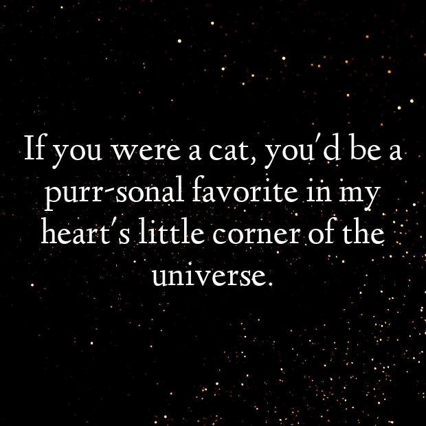 Cat Pick Up Lines-lJ2OjD