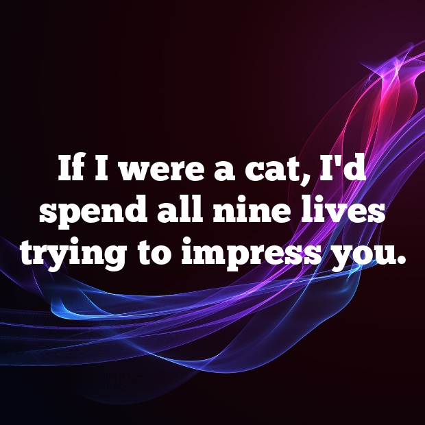 Cat Pick Up Lines-ulQ54c