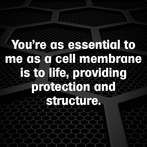 Cell Membrane Pick Up Lines-rBueLj