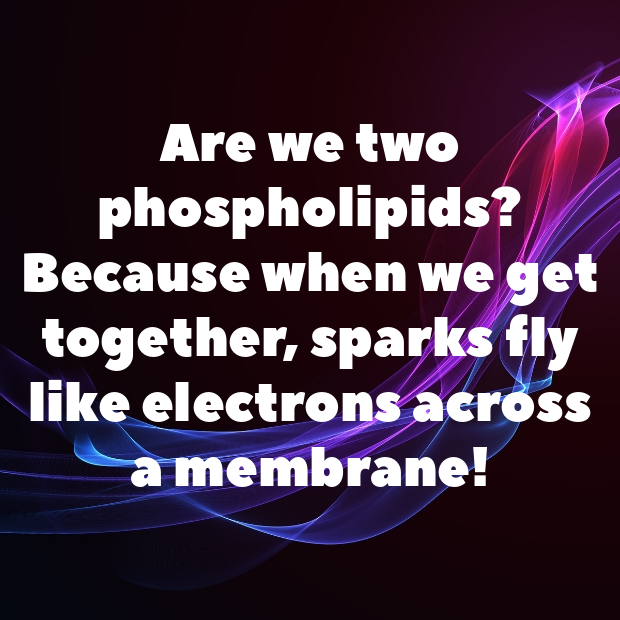 Cell Membrane Pick Up Lines-yblxcb