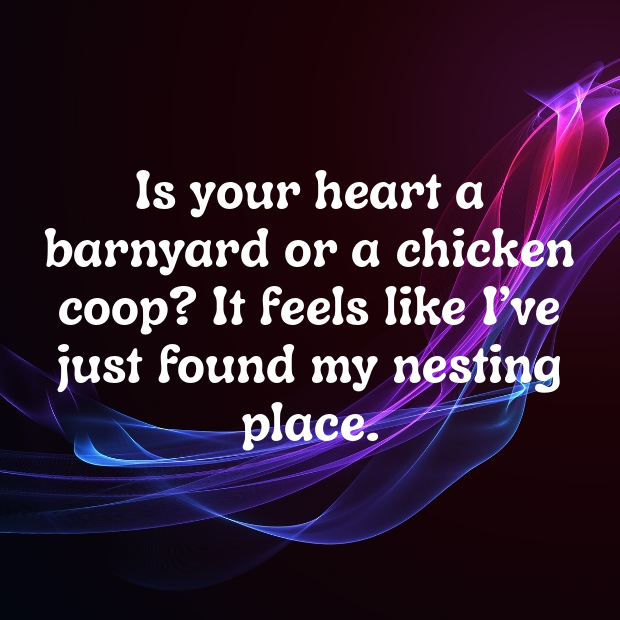 Chicken Pick Up Lines-CSQmfN