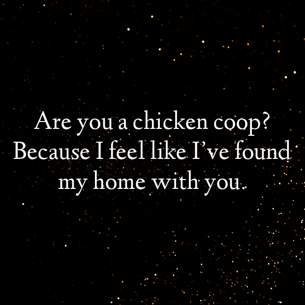 Chicken Pick Up Lines-wBwiit