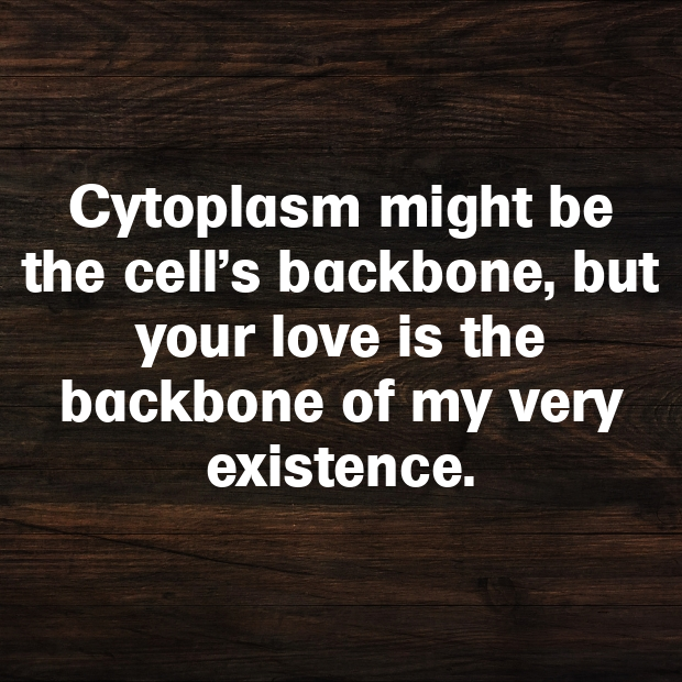 Cytoplasm Pick Up Lines-cEUnOe