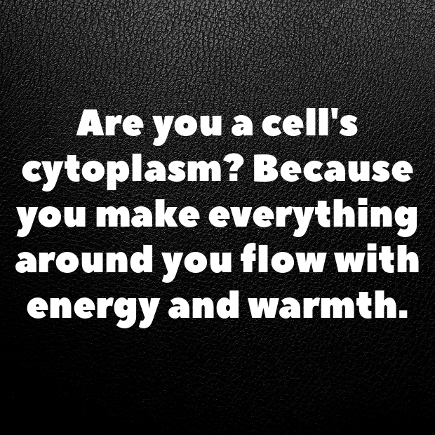 Cytoplasm Pick Up Lines-i4mNUA