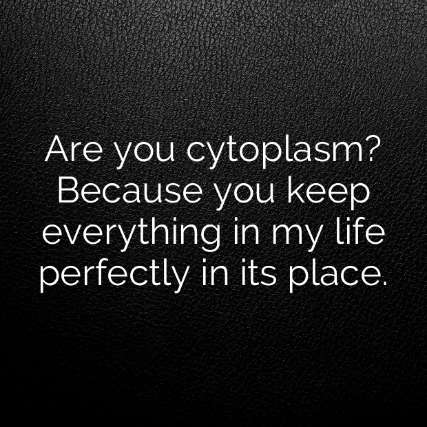 Cytoplasm Pick Up Lines-M7cNfR