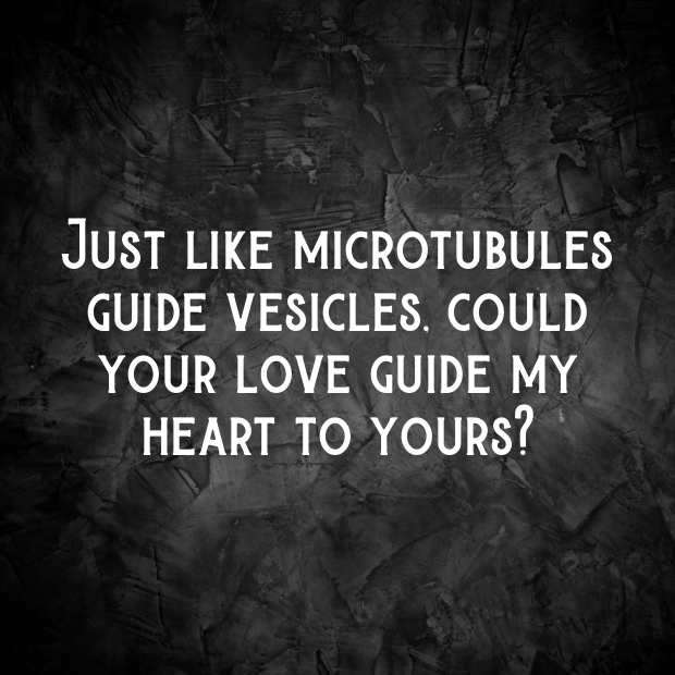 Cytoskeleton Pick Up Lines-nmhm6K