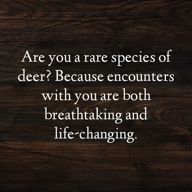 Deer Pick Up Lines-aGAg6F