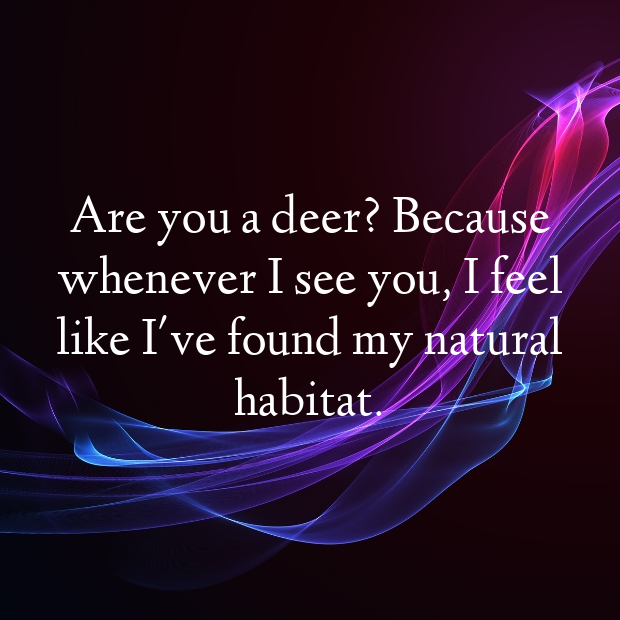 Deer Pick Up Lines-y96ACb