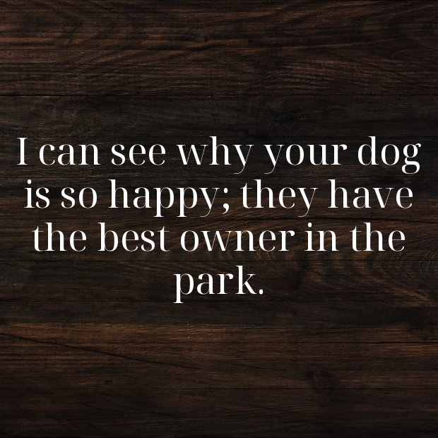 Dog Park Pick Up Lines-6oCGZx