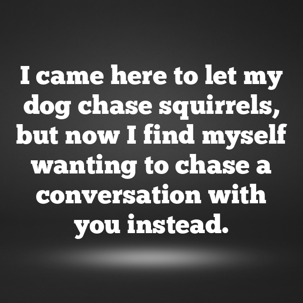 Dog Park Pick Up Lines-sB1jjx