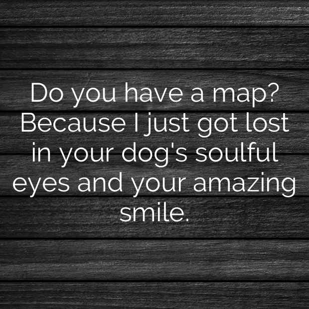 Dog Park Pick Up Lines-Zqg92p