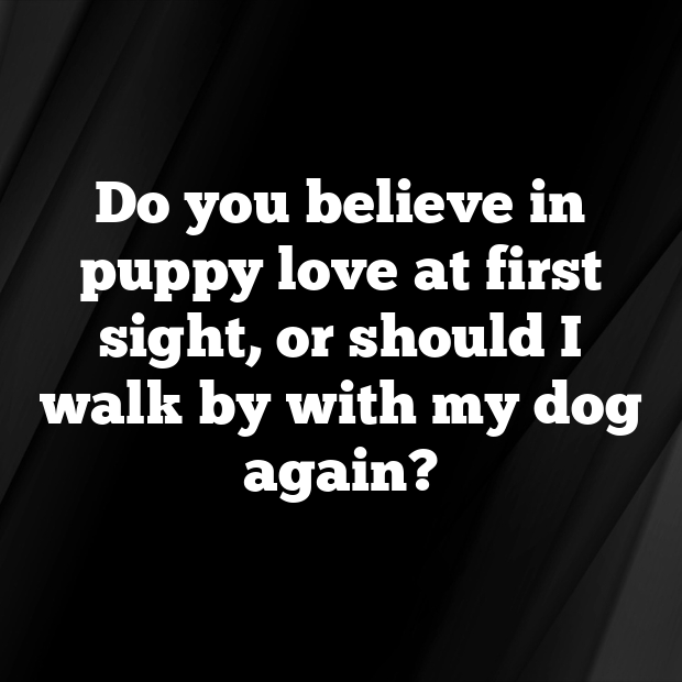 Dog Pick Up Lines-9houyK