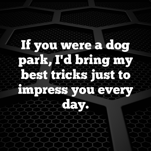 Dog Pick Up Lines-tPvj1D