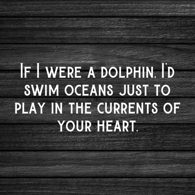 Dolphin Pick Up Lines-HjAKiS