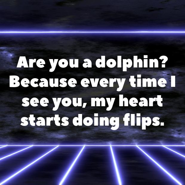 Dolphin Pick Up Lines-jlxp2W