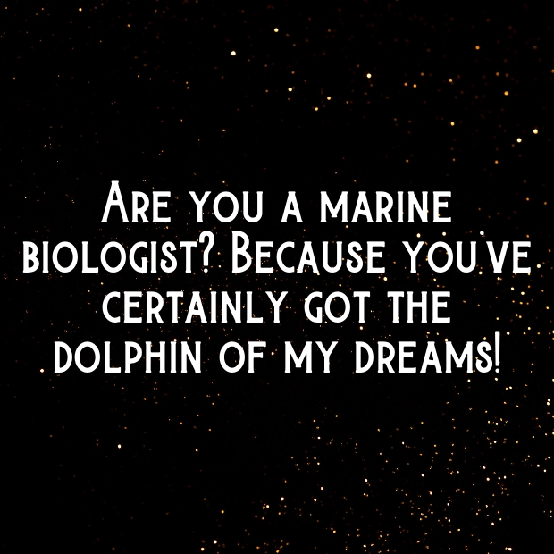 Dolphin Pick Up Lines-tNygSJ