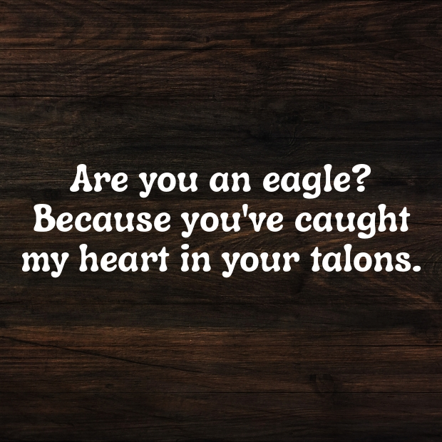 Eagle Pick Up Lines-jAOxY4