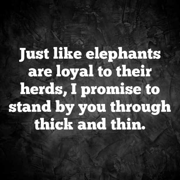 Elephant Pick Up Lines-A8TqP5