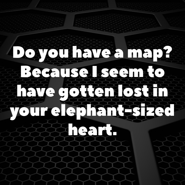 Elephant Pick Up Lines-mq8lND