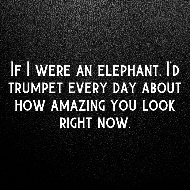 Elephant Pick Up Lines-rvmV4e