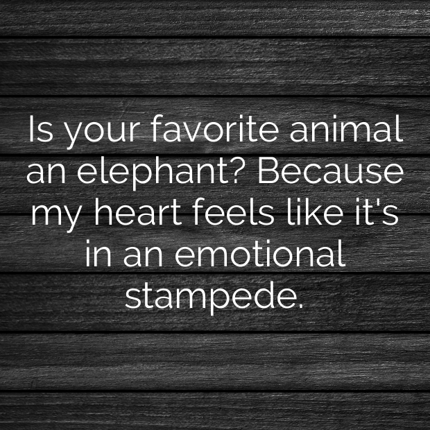 Elephant Pick Up Lines-sDxiEU