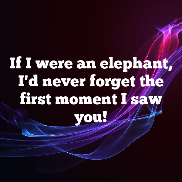 Elephant Pick Up Lines-xd41KE