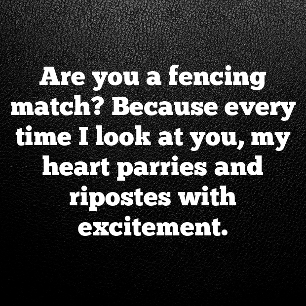 Fencing Pick Up Lines-fJYVVh