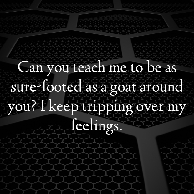 Goat Pick Up Lines-AVilah