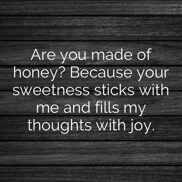 Honey Pick Up Lines-VRSQ37