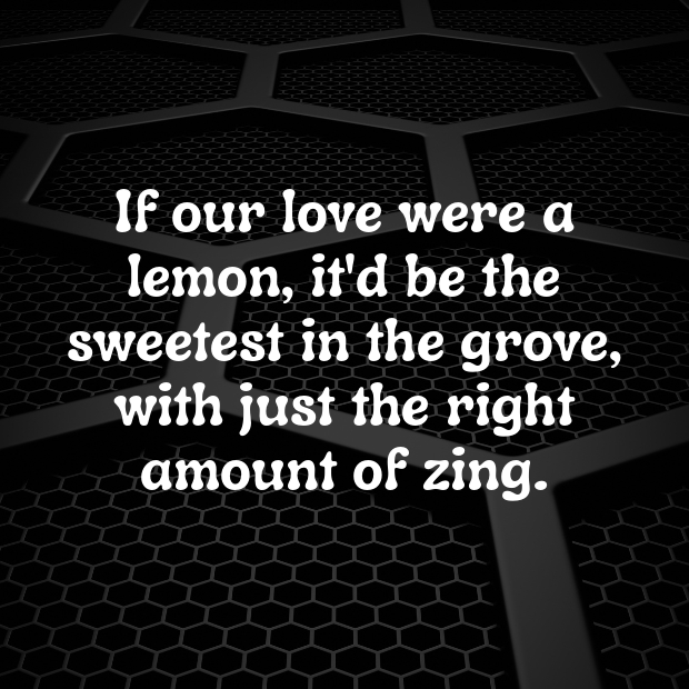 Lemon Pick Up Lines-EAsDbN