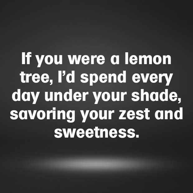 Lemon Pick Up Lines-SWaInB