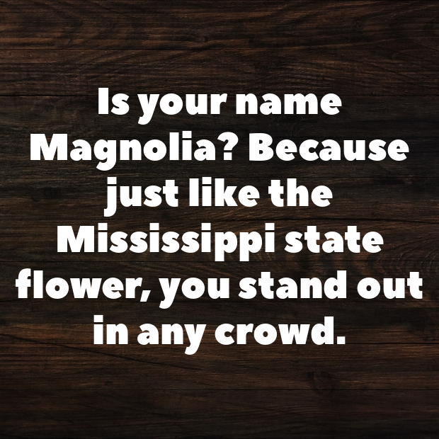 Mississippi Pick Up Lines-jWziqu