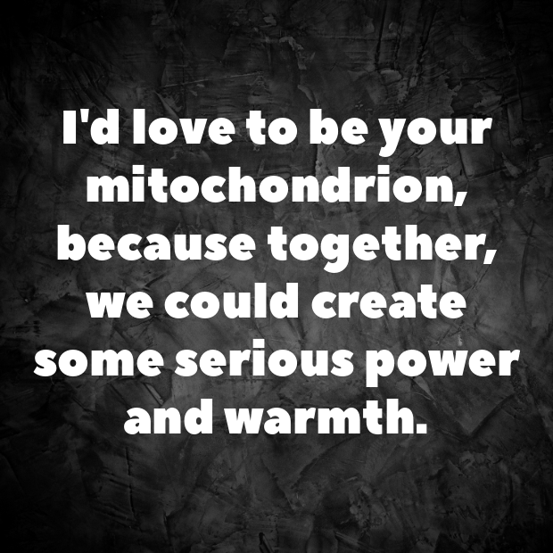 Mitochondria Pick Up Lines-VWdH6t