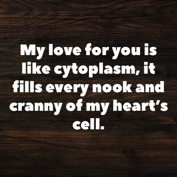 Organelle Pick Up Lines-I7ewWR