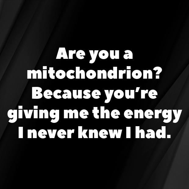 Organelle Pick Up Lines-qTvGxc