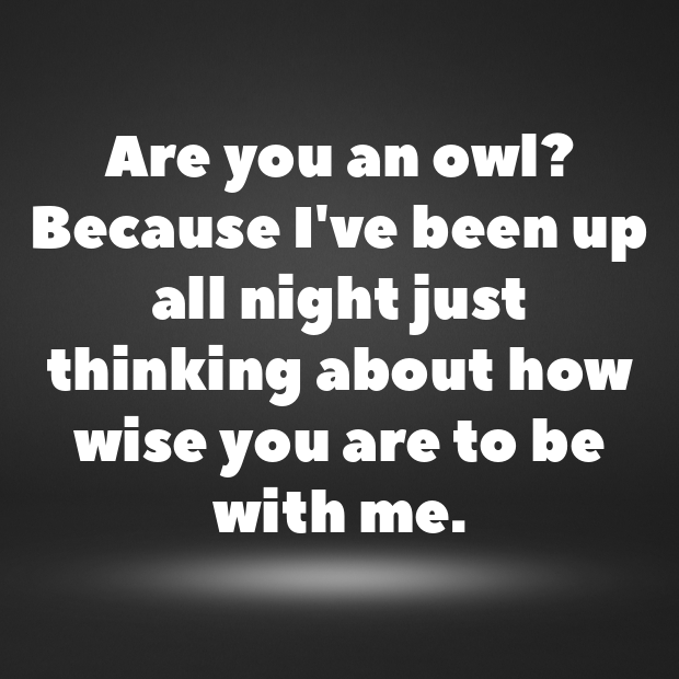 Owl Pick Up Lines-3j94dh