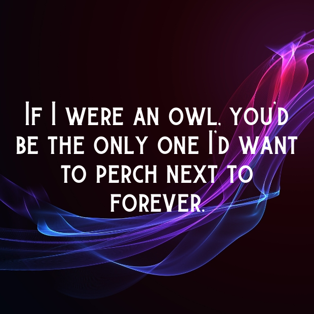 Owl Pick Up Lines-rA5iNw