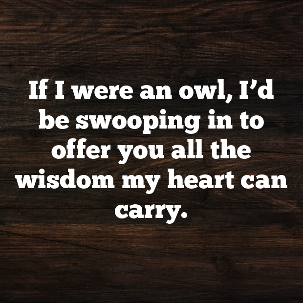 Owl Pick Up Lines-TNEFlX