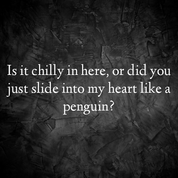 Penguin Pick Up Lines-7xZZZb