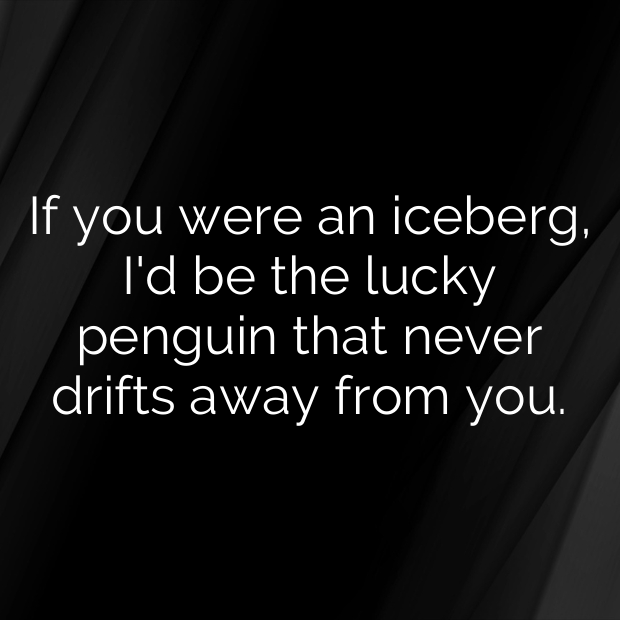 Penguin Pick Up Lines-c8JQx7