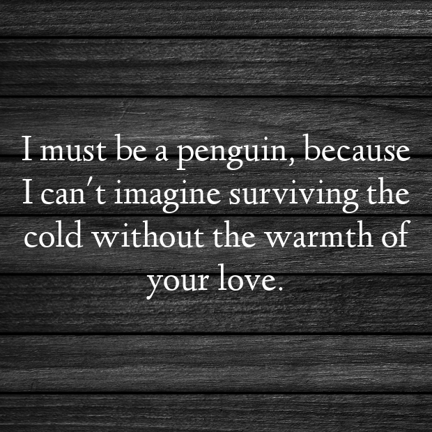 Penguin Pick Up Lines-jlxApj