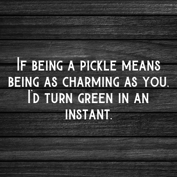 Pickle Pick Up Lines-TeW12I