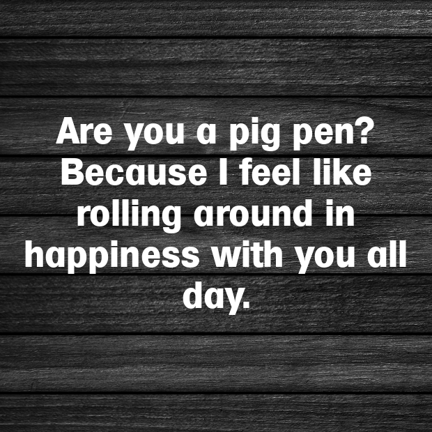 Pig Pick Up Lines-E5nvne