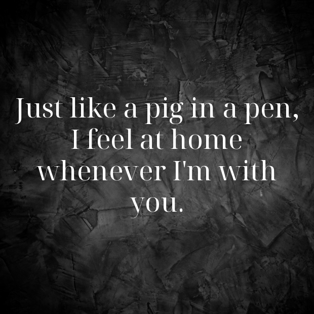 Pig Pick Up Lines-pgEdXt